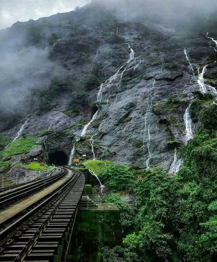 Dudhsagar Falls and Spice Plantation Tour, Goa